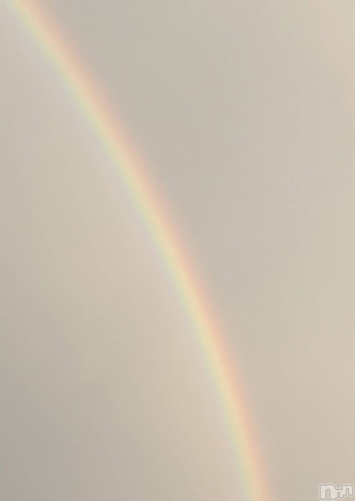 ܱХ顦CLUB FOUR LEAF(ե꡼) 2025ǯ1112ֽ̥֥жФޤ