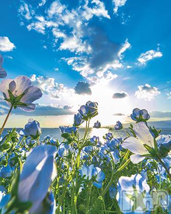 ���ܱ�������Х��顦�����CLUB FOUR LEAF(�ե����꡼��) ��2026ǯ4��17���̥�֥����ֽжФ��ޤ�������