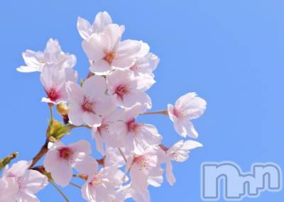 ���ܱ�������Х��顦�����CLUB FOUR LEAF(�ե����꡼��) �����ޤ�3��14���̥�֥����ֽжФ��ޤ�������