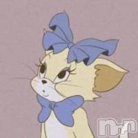 (ҥߥ) ĹҥߥġܱХ顦 CLUB FOUR LEAF(ե꡼)ҡ