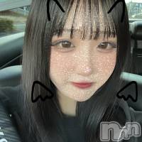 ߤ(20) Ĺ152cmĮХ顦 Club Lusso(֡å)ҡ