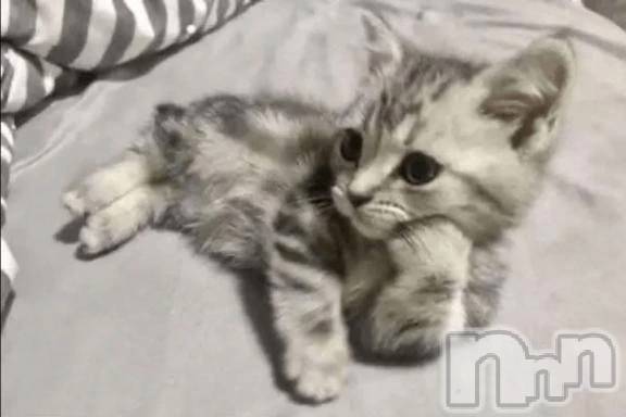 新潟デリヘル熟女の風俗 最終章(ジュクジョノフウゾクサイシュウショウ)もなこ(47)の2026年8月12日写メブログ「もしかしてだけど…」