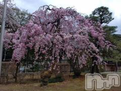 新潟デリヘル熟女の風俗 最終章(ジュクジョノフウゾクサイシュウショウ) もなこ(47)の4月18日写メブログ「のんびり～」