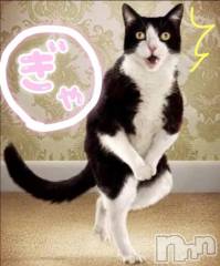 新潟デリヘル熟女の風俗 最終章(ジュクジョノフウゾクサイシュウショウ) もなこ(47)の5月3日写メブログ「ｷﾞｬｧ━━━━(艸ﾟДﾟ;)━━━━ｧｧ!!」