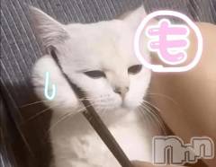 新潟人妻デリヘル熟女の風俗 最終章(ジュクジョノフウゾクサイシュウショウ) もなこ(47)の5月20日写メブログ「(  ¸ ′-′)ｧ，ﾔﾍﾞ」