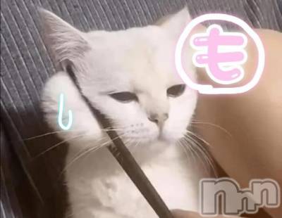 新潟人妻デリヘル 熟女の風俗 最終章(ジュクジョノフウゾクサイシュウショウ) もなこ(47)の5月20日写メブログ「(  ¸ ′-′)ｧ，ﾔﾍﾞ」