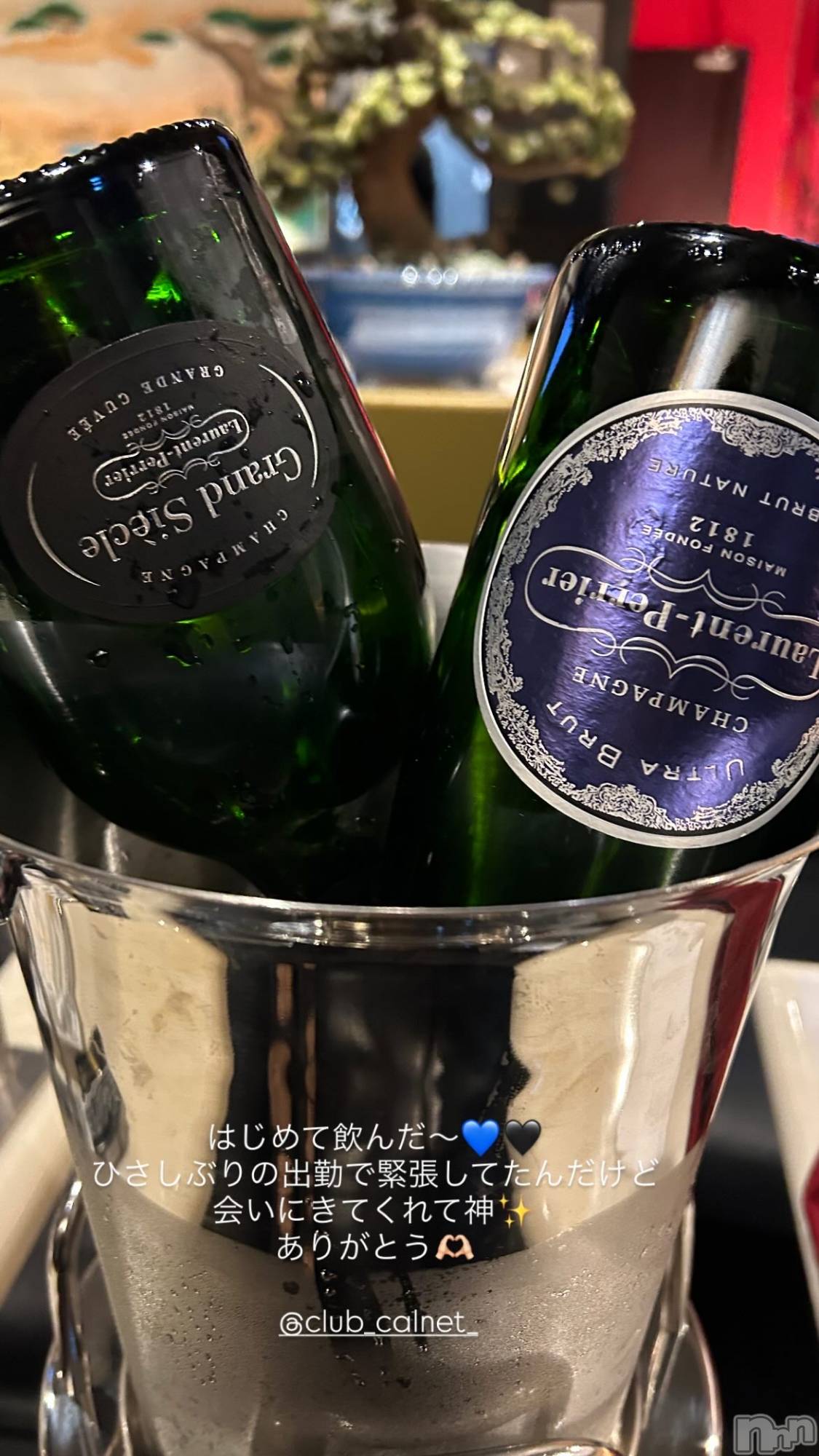 �����������Х��顦�����Club Calnet(����֡������) ��2026ǯ2��10���̥�֥����ֽ��Ƥ�💙🖤��