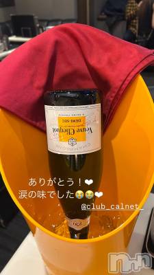 Х顦Club Calnet(֡) ꤪ223̥֥֤꤬Ȥ🤍