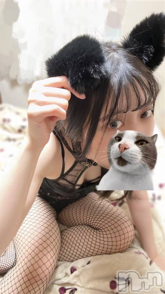新潟ソープ新潟バニーコレクション(ニイガタバニーコレクション) スミレ(23)の3月11日写メブログ「おはようございます☀️」