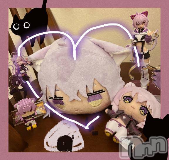 新潟ソープ新潟バニーコレクション(ニイガタバニーコレクション) スミレ(23)の11月18日写メブログ「🐈‍⬛🐈🥣お土産🛍️お礼日記🍙🎶🎮」