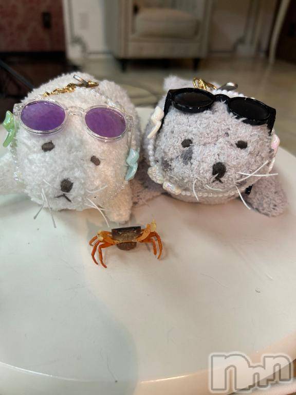 新潟ソープ新潟バニーコレクション(ニイガタバニーコレクション) スミレ(23)の12月9日写メブログ「無事でいてくださいね」