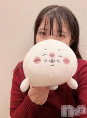 新潟ソープ新潟バニーコレクション(ニイガタバニーコレクション) スミレ(23)の2月10日写メブログ「本日もありがとうございました🦭」
