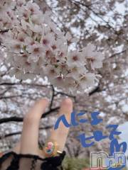 新潟ソープ新潟バニーコレクション(ニイガタバニーコレクション) スミレ(23)の4月16日写メブログ「花見～～🌸✨第一弾‼️」