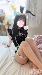新潟ソープ新潟バニーコレクション(ニイガタバニーコレクション) スミレ(23)の4月19日写メブログ「🌷お礼日記🌷18日　19時35分～のお兄様」