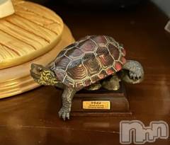 新潟ソープ新潟バニーコレクション(ニイガタバニーコレクション) スミレ(23)の10月2日写メブログ「お知らせ📢」