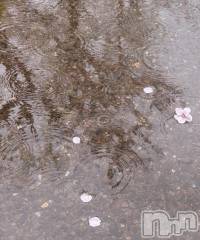 新潟ソープ新潟バニーコレクション(ニイガタバニーコレクション) スミレ(23)の2月26日写メブログ「本当に申し訳ありません。」