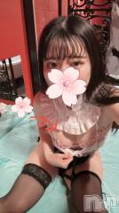 新潟ソープ新潟バニーコレクション(ニイガタバニーコレクション) スミレ(23)の4月14日写メブログ「桜～🌸❗️」