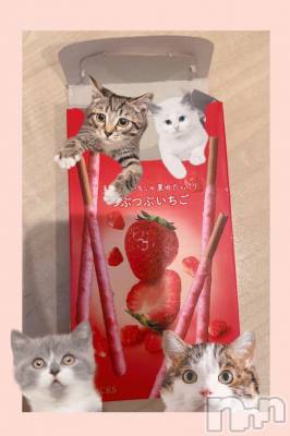 新潟ソープ 新潟バニーコレクション(ニイガタバニーコレクション) スミレ(23)の3月28日写メブログ「🍓🍪お土産🛍️お礼日記🍪🍓」