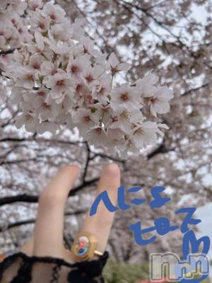 新潟ソープ 新潟バニーコレクション(ニイガタバニーコレクション) スミレ(23)の4月16日写メブログ「花見～～🌸✨第一弾‼️」