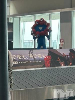 新潟ソープ 新潟バニーコレクション(ニイガタバニーコレクション) スミレ(23)の6月14日写メブログ「こっそりと👀」