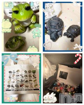 新潟ソープ 新潟バニーコレクション(ニイガタバニーコレクション) スミレ(23)の12月30日写メブログ「🐢🐸🧳お土産🛍️お礼日記🍫🤎˖⁺✦」