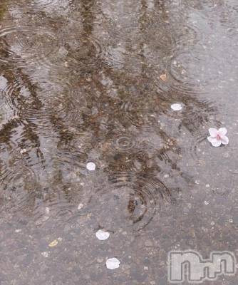 新潟ソープ 新潟バニーコレクション(ニイガタバニーコレクション) スミレ(23)の2月26日写メブログ「本当に申し訳ありません。」