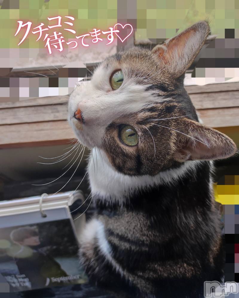 三条ぽっちゃり新潟三条燕ちゃんこ(ニイガタサンジョウツバメチャンコ) このみ(45)の9月7日写メブログ「明日は10:30～15:30までの出勤です？？」