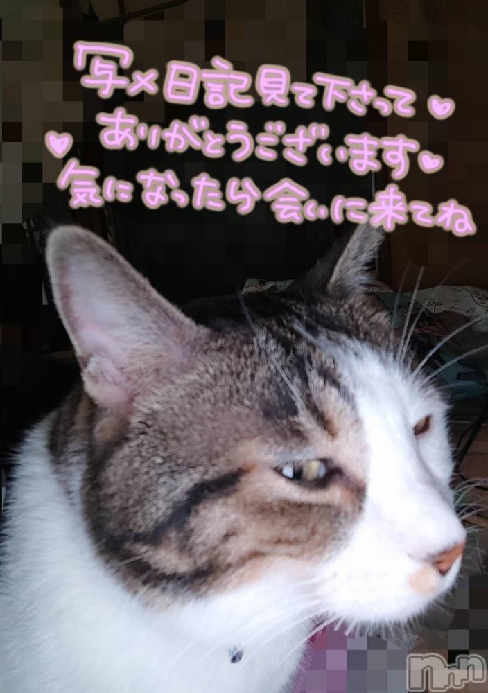 三条ぽっちゃり新潟三条燕ちゃんこ(ニイガタサンジョウツバメチャンコ) このみ(45)の9月27日写メブログ「昨夜撮影したので、変な顔です(笑)」