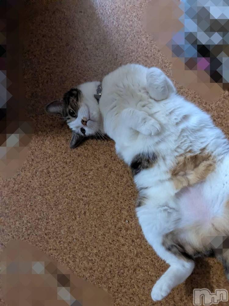 三条デリヘル新潟三条燕ちゃんこ(ニイガタサンジョウツバメチャンコ) このみ(45)の8月24日写メブログ「土曜日お誘い頂いたお兄様へ？」