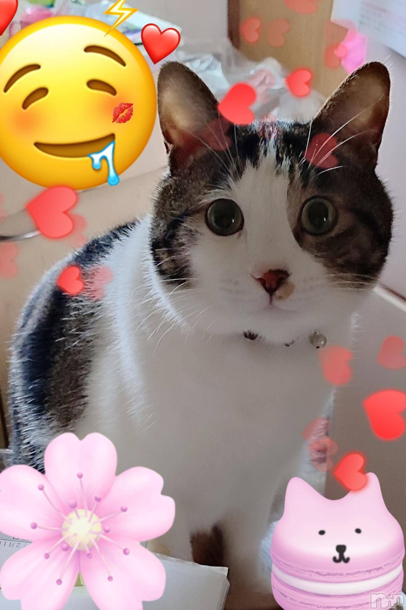 三条デリヘル新潟三条燕ちゃんこ(ニイガタサンジョウツバメチャンコ)このみ(45)の2025年3月15日写メブログ「おはようございます(*^^*)」