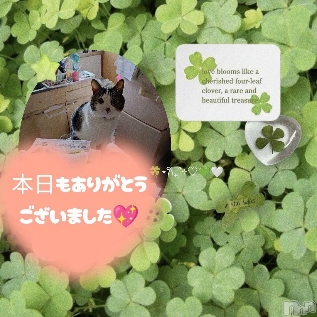 三条デリヘル新潟三条燕ちゃんこ(ニイガタサンジョウツバメチャンコ)このみ(45)の2025年4月5日写メブログ「明日はお休みですm(_ _)m」