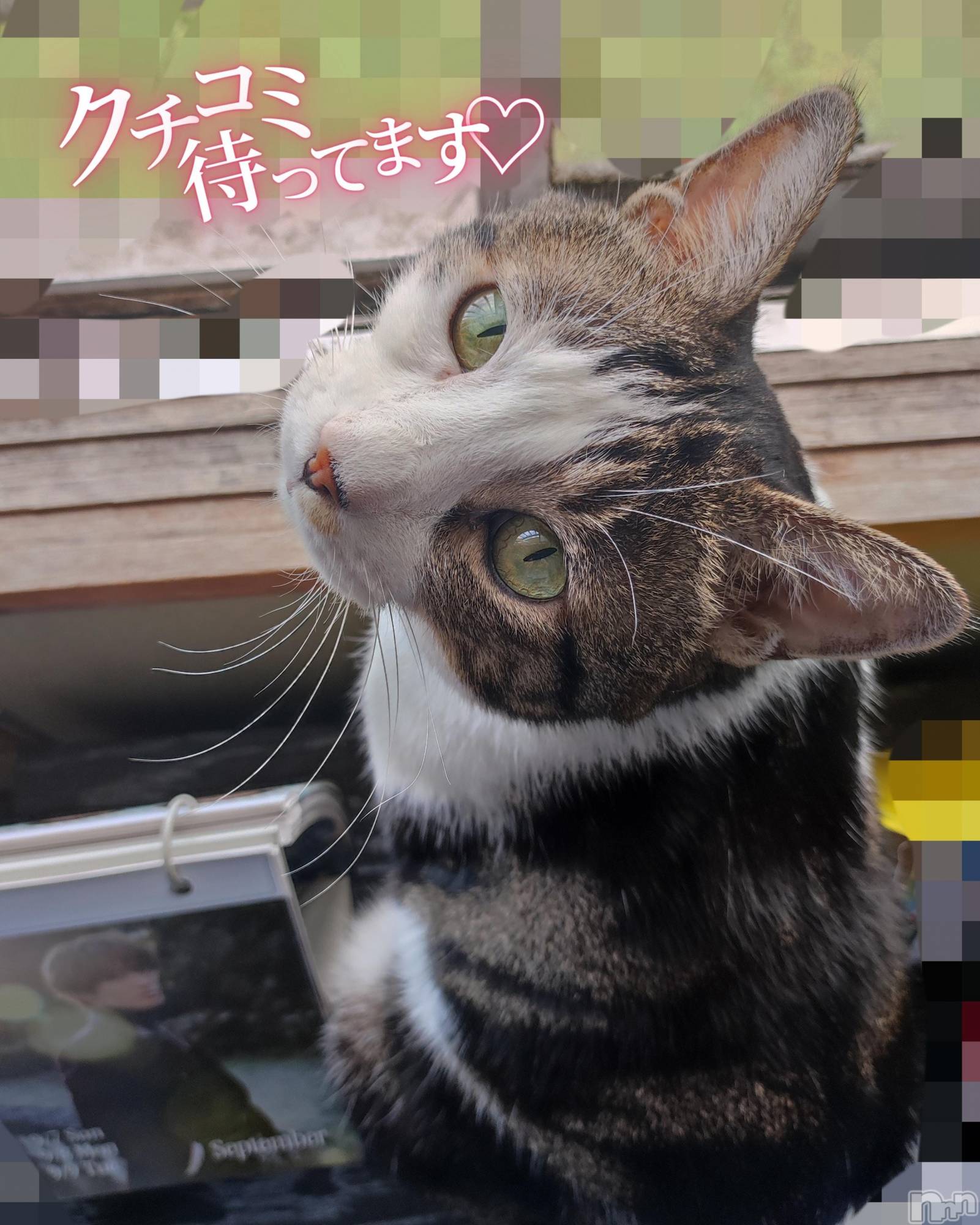 三条ぽっちゃり新潟三条燕ちゃんこ(ニイガタサンジョウツバメチャンコ)このみ(45)の2025年9月7日写メブログ「明日は10:30～15:30までの出勤です？？」
