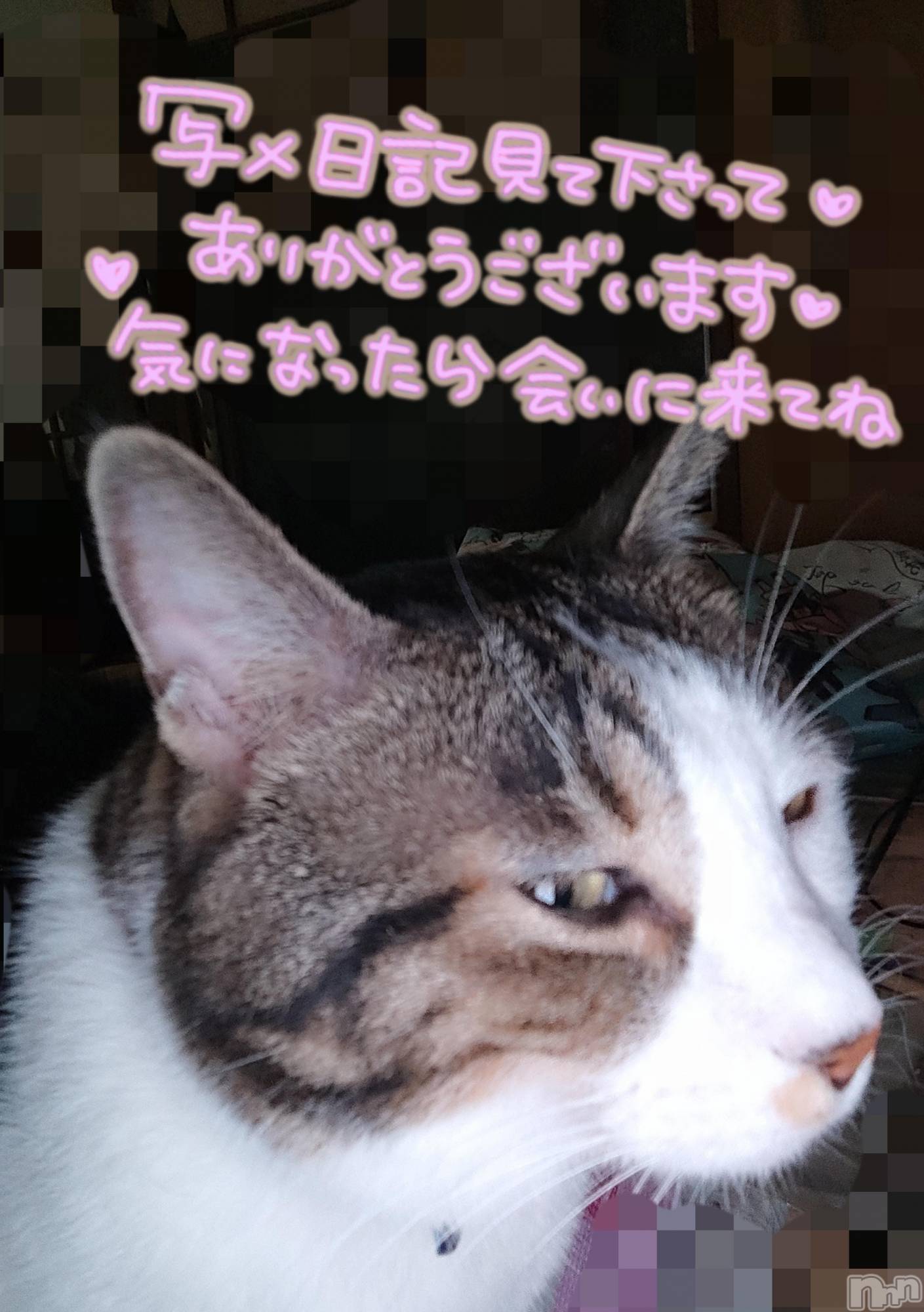 三条ぽっちゃり新潟三条燕ちゃんこ(ニイガタサンジョウツバメチャンコ)このみ(45)の2025年9月27日写メブログ「昨夜撮影したので、変な顔です(笑)」
