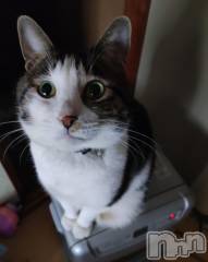 三条デリヘル新潟三条燕ちゃんこ(ニイガタサンジョウツバメチャンコ) このみ(45)の3月5日写メブログ「おはようございます？」