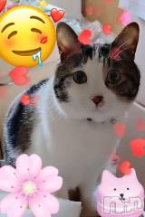 三条デリヘル新潟三条燕ちゃんこ(ニイガタサンジョウツバメチャンコ) このみ(45)の3月15日写メブログ「おはようございます(*^^*)」