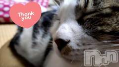 三条デリヘル新潟三条燕ちゃんこ(ニイガタサンジョウツバメチャンコ) このみ(45)の6月23日写メブログ「お礼です?.*?」