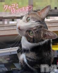 三条デリヘル新潟三条燕ちゃんこ(ニイガタサンジョウツバメチャンコ) このみ(45)の9月7日写メブログ「明日は10:30～15:30までの出勤です？？」