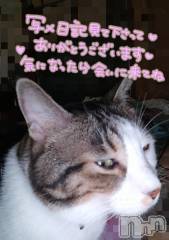 三条デリヘル新潟三条燕ちゃんこ(ニイガタサンジョウツバメチャンコ) このみ(45)の9月27日写メブログ「昨夜撮影したので、変な顔です(笑)」