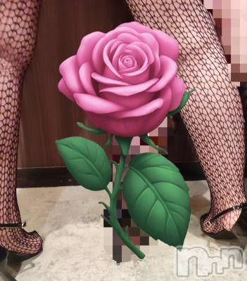 三条デリヘル 新潟三条燕ちゃんこ(ニイガタサンジョウツバメチャンコ) このみ(45)の3月14日写メブログ「16日(日曜)急きょ10時～12時半まで出勤です！」