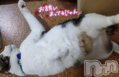 三条デリヘル 新潟三条燕ちゃんこ(ニイガタサンジョウツバメチャンコ) このみ(45)の6月25日写メブログ「追記だよー?」