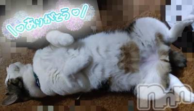 三条デリヘル 新潟三条燕ちゃんこ(ニイガタサンジョウツバメチャンコ) このみ(45)の7月27日写メブログ「今週のシフト、少し変更がありました???♀??」