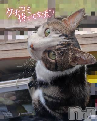 三条ぽっちゃり 新潟三条燕ちゃんこ(ニイガタサンジョウツバメチャンコ) このみ(45)の9月7日写メブログ「明日は10:30～15:30までの出勤です？？」