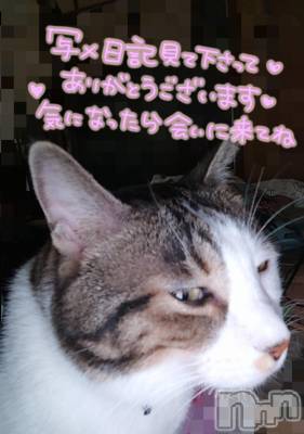 三条デリヘル 新潟三条燕ちゃんこ(ニイガタサンジョウツバメチャンコ) このみ(45)の9月27日写メブログ「昨夜撮影したので、変な顔です(笑)」