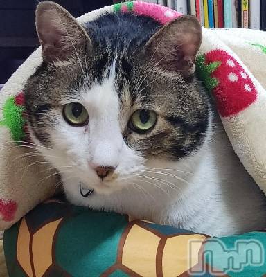 三条デリヘル 新潟三条燕ちゃんこ(ニイガタサンジョウツバメチャンコ) このみ(45)の11月14日写メブログ「明日22:00からお待ちしております？？？？？？」