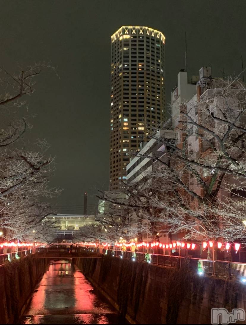 �����������Х��顦����ֽϽ�����Х��� Lips(���奯���祭��Х����åץ�) ��2026ǯ3��27���̥�֥����֤��ߤǤ�🌸��