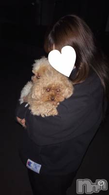 ��Ʋ����Х��顦�����clubTiara(�ƥ�����) ������8��28���̥�֥�����🐶🐾��
