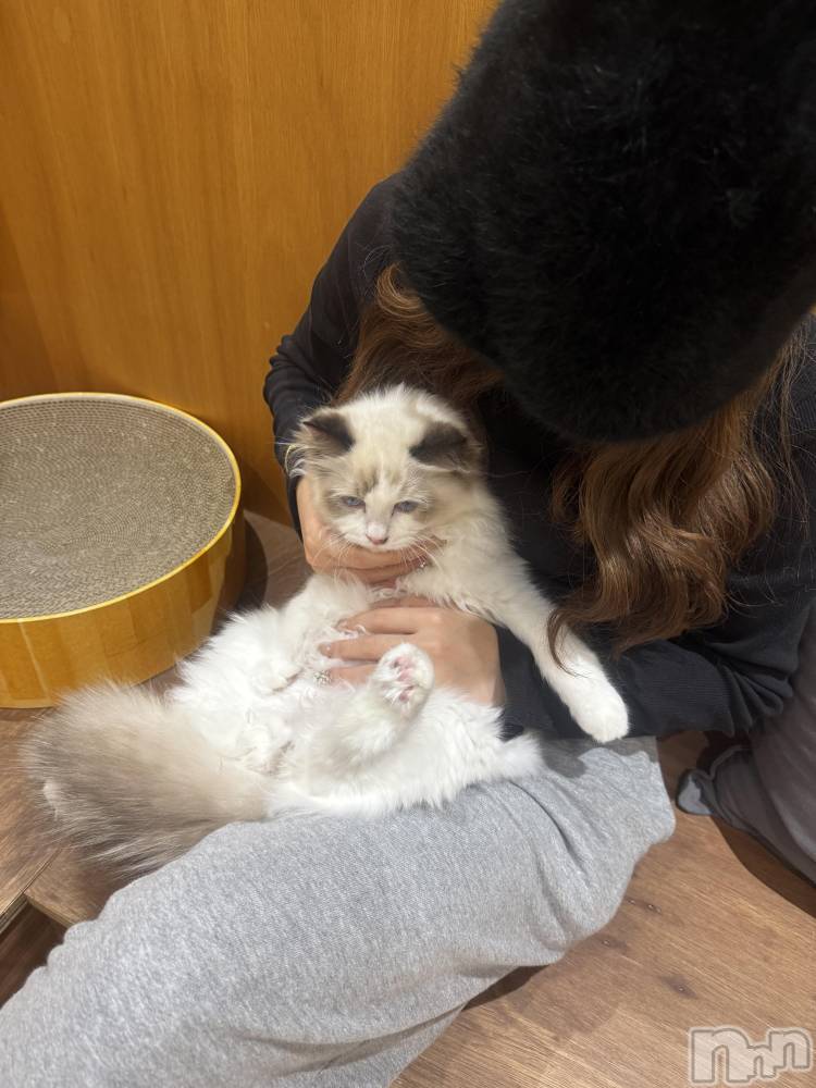 ƲХ顦clubTiara(ƥ) ߤ1029̥֥֤