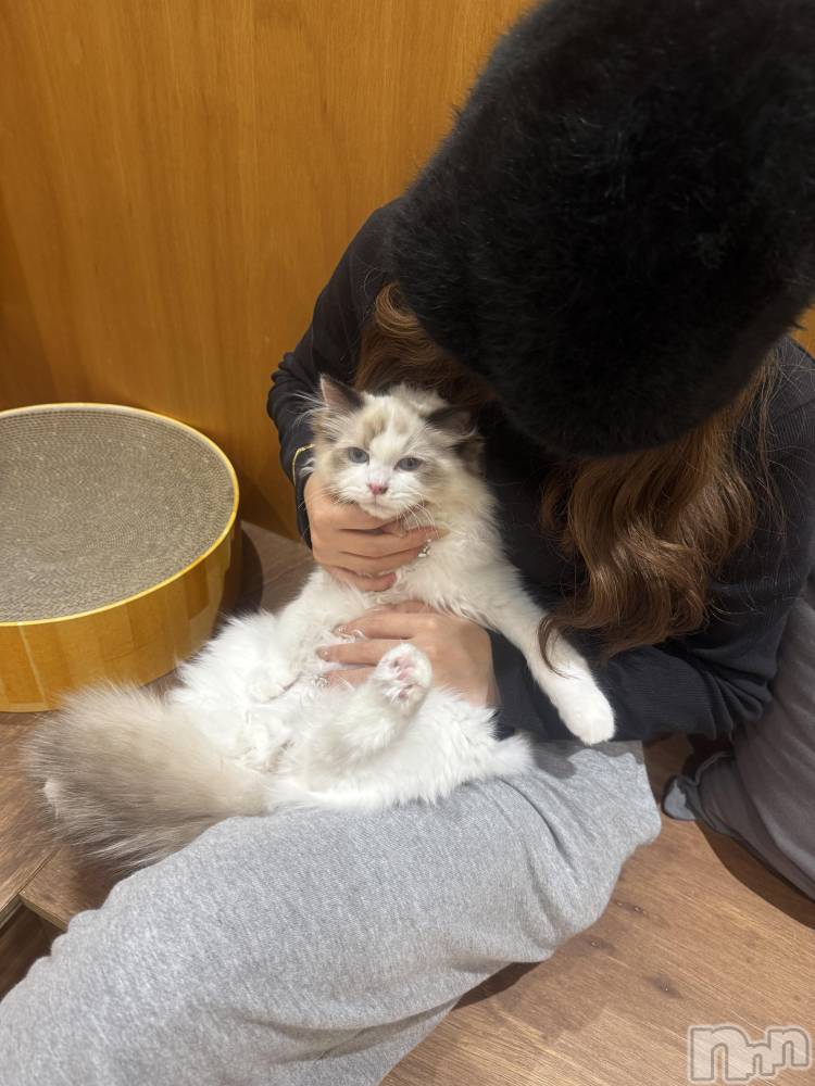 ƲХ顦clubTiara(ƥ) ߤ111̥֥֤