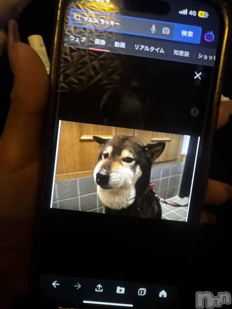 ƲХ顦clubTiara(ƥ) ߤ1124̥֥֤