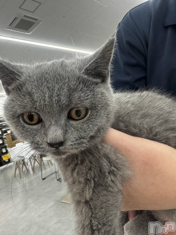 ��Ʋ����Х��顦�����clubTiara(�ƥ�����) ��ߤ�1��23���̥�֥����֤����